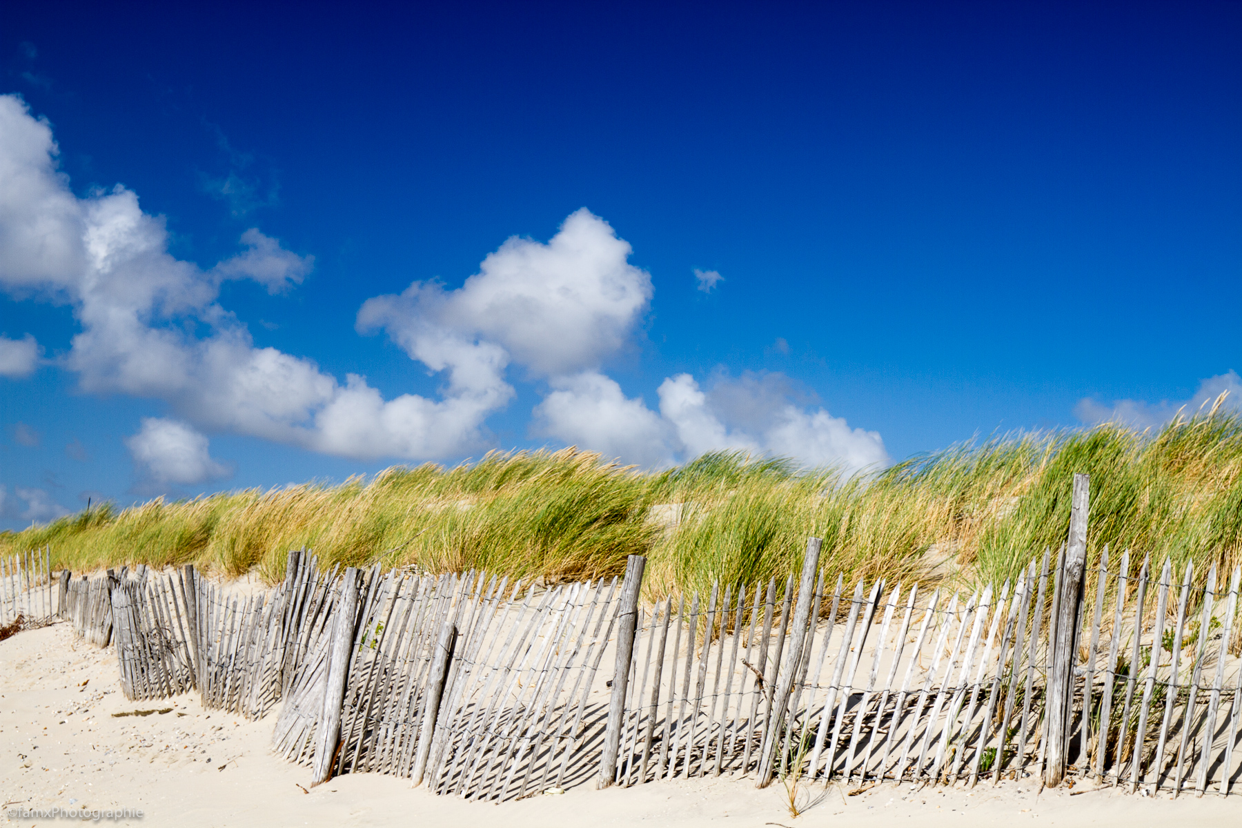 Dune, France, Somme (Famx7dd20_9681)