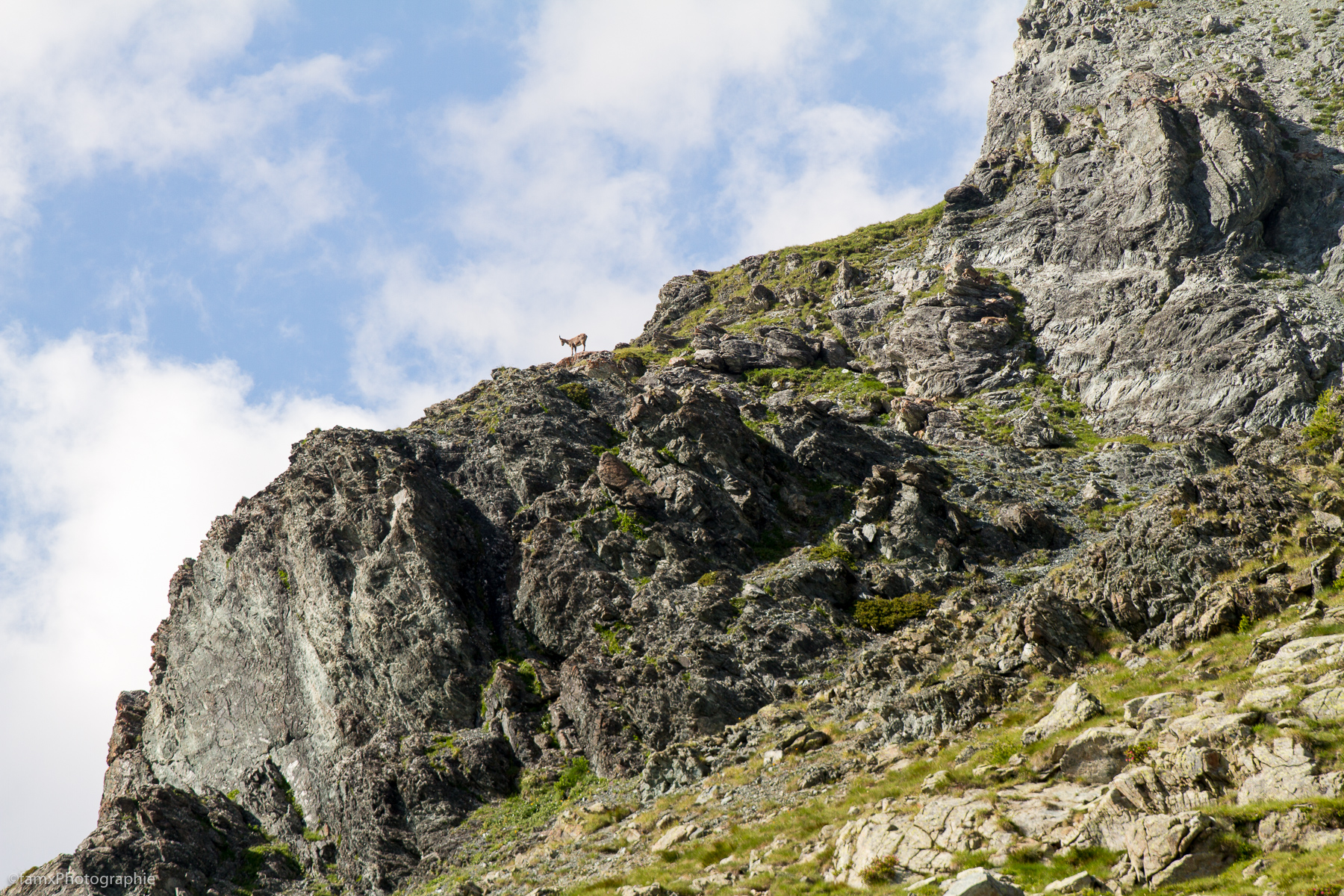 Alpes, Chamois, Italie, Val d'Aoste (Famx7d21_34814)