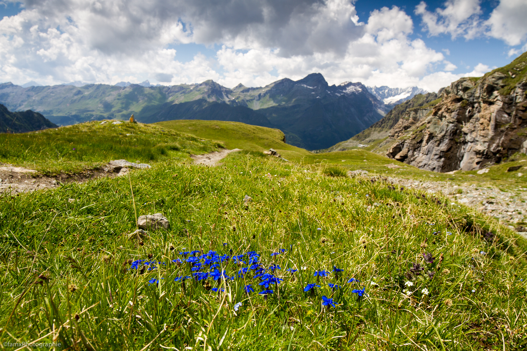 Alpes, Italie, Val d'Aoste (Famx7dd21_11089)