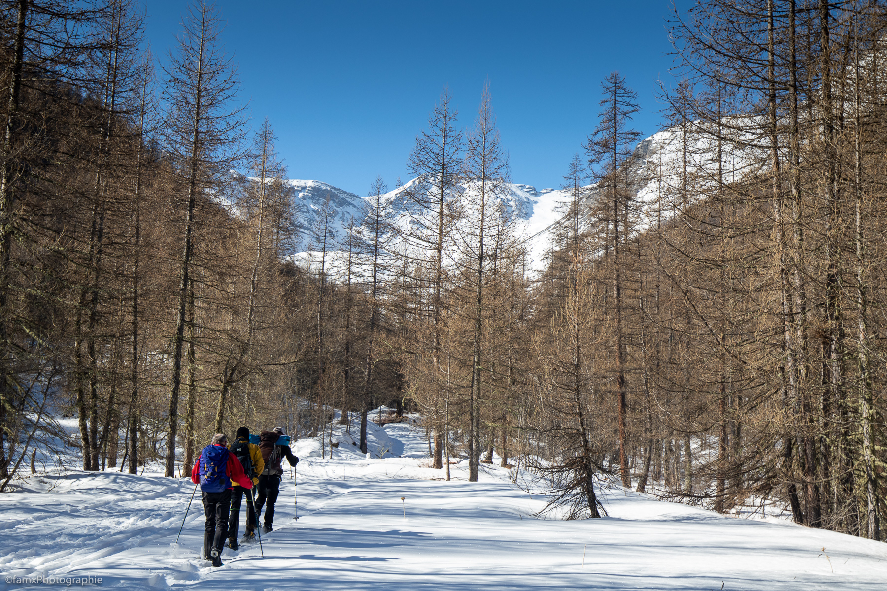 France, Massif des Ecrins (Famx7dII22_0258)