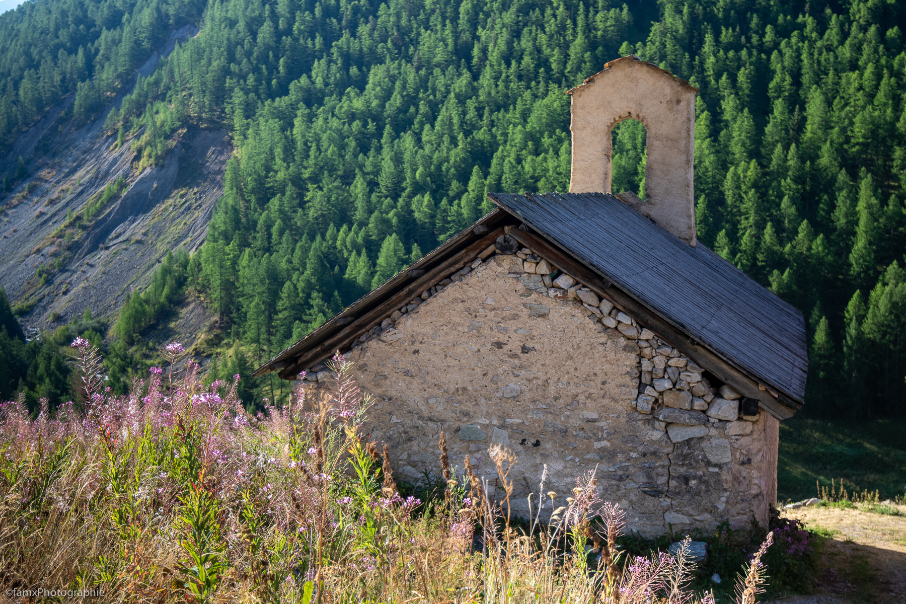 France, Massif du Queyras (Famx7dII22_2218)