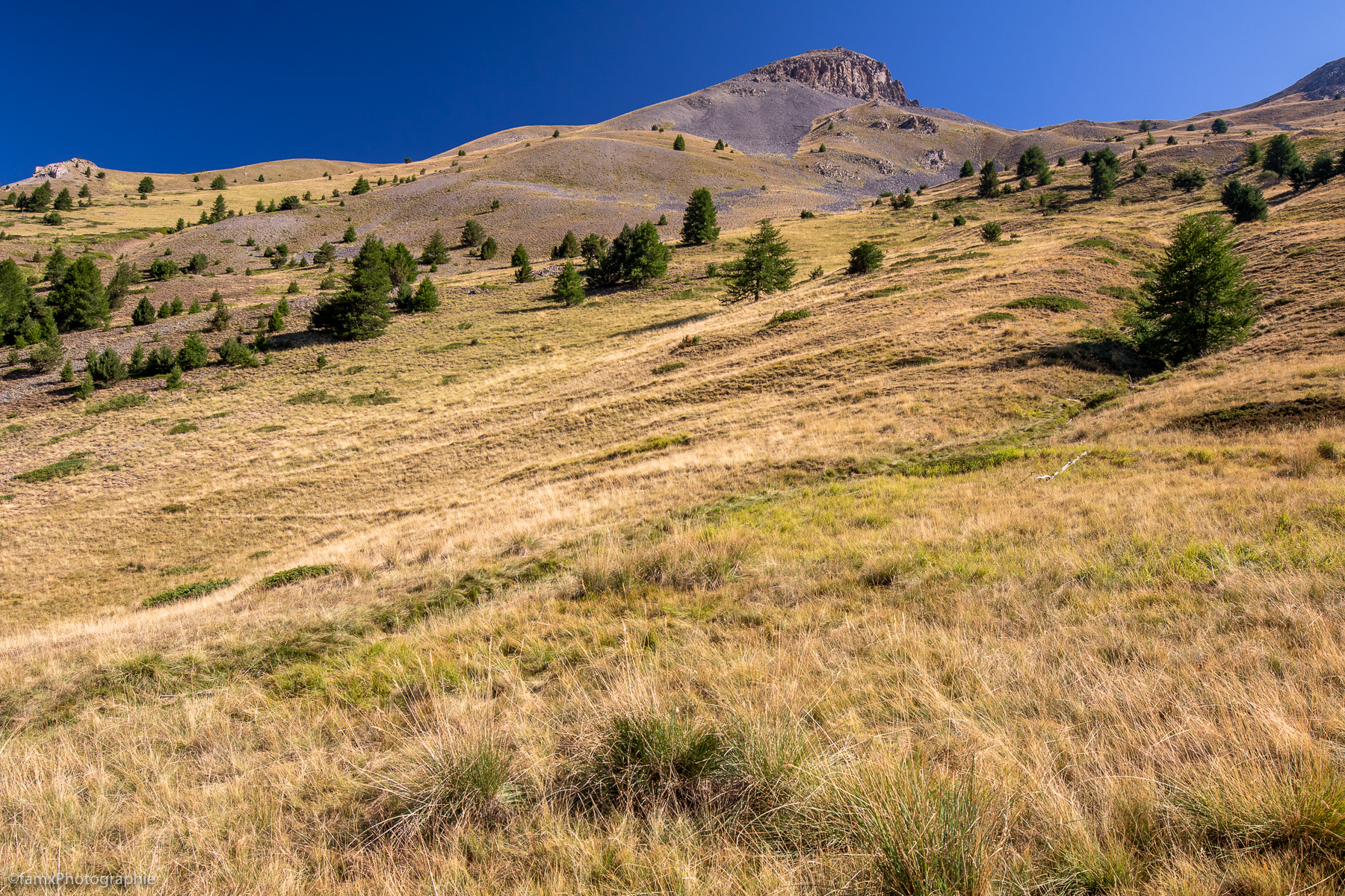 France, Massif du Queyras (Famx7dII22_2232)