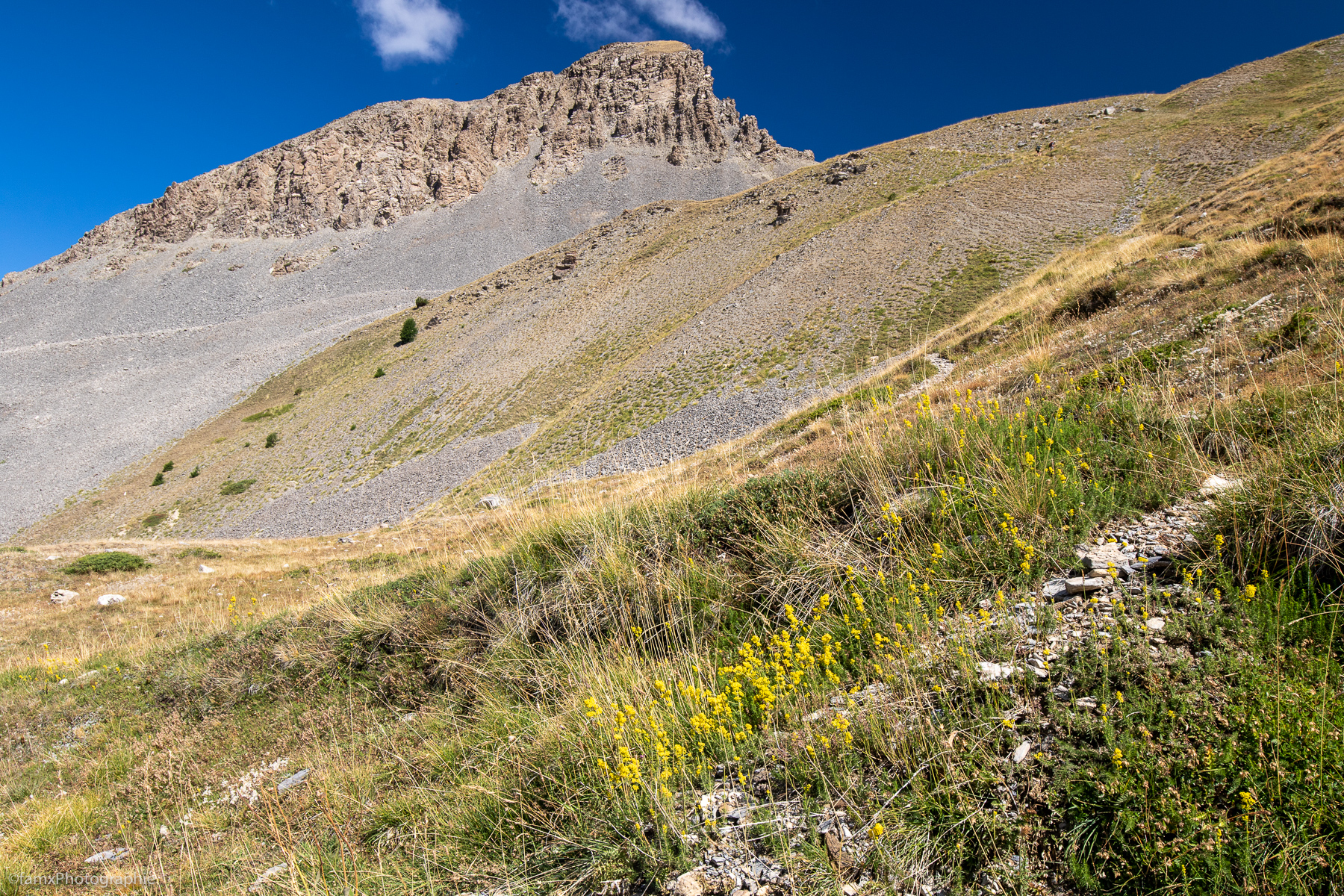France, Massif du Queyras (Famx7dII22_2237)
