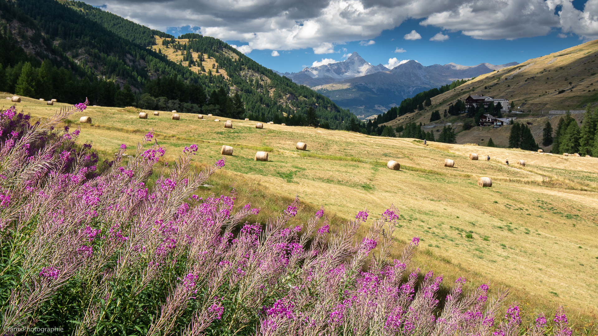 France, Massif du Queyras (Famx7dII22_2255)