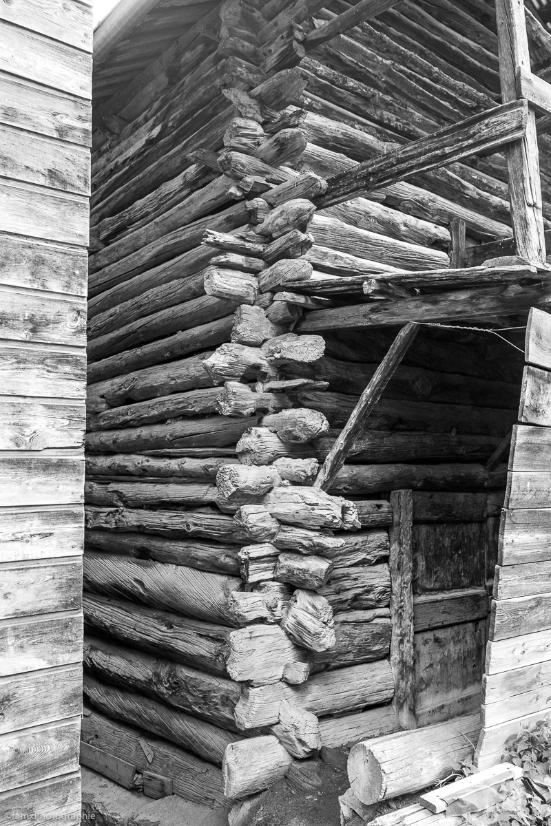 Détail, France, Massif du Queyras, Noir & blanc (Famx7dII22_2279)