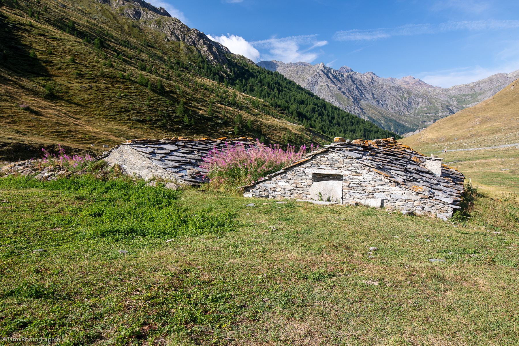 France, Massif du Queyras (Famx7dII22_2356)