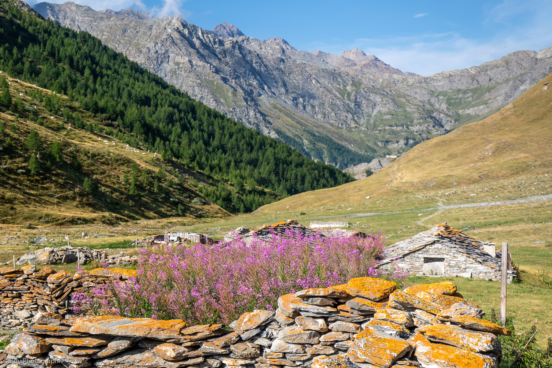 France, Massif du Queyras (Famx7dII22_2363)