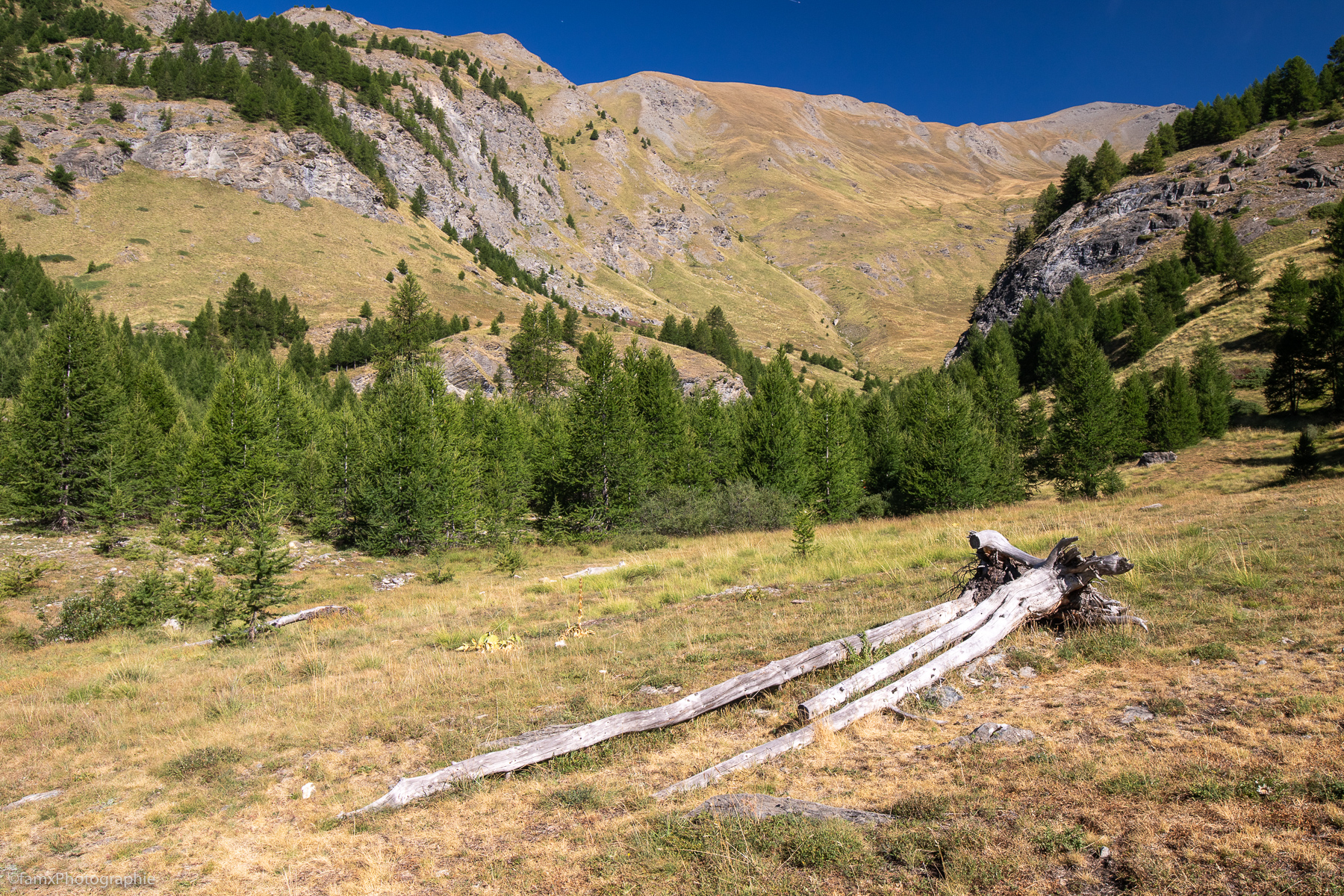 France, Massif du Queyras (Famx7dII22_2415)