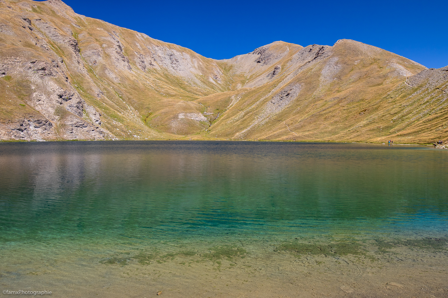 Eaux, France, Massif du Queyras (Famx7dII22_2430)
