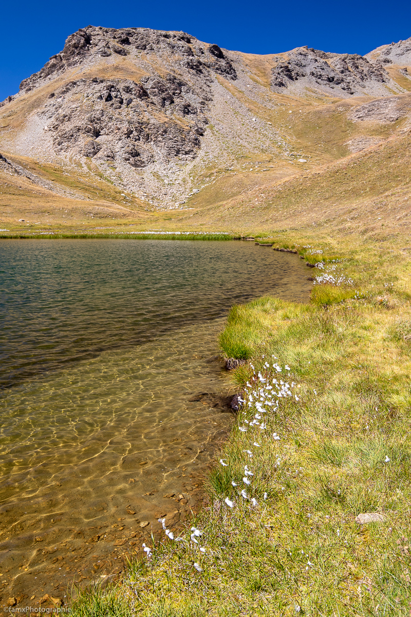 Eaux, France, Massif du Queyras (Famx7dII22_2448)
