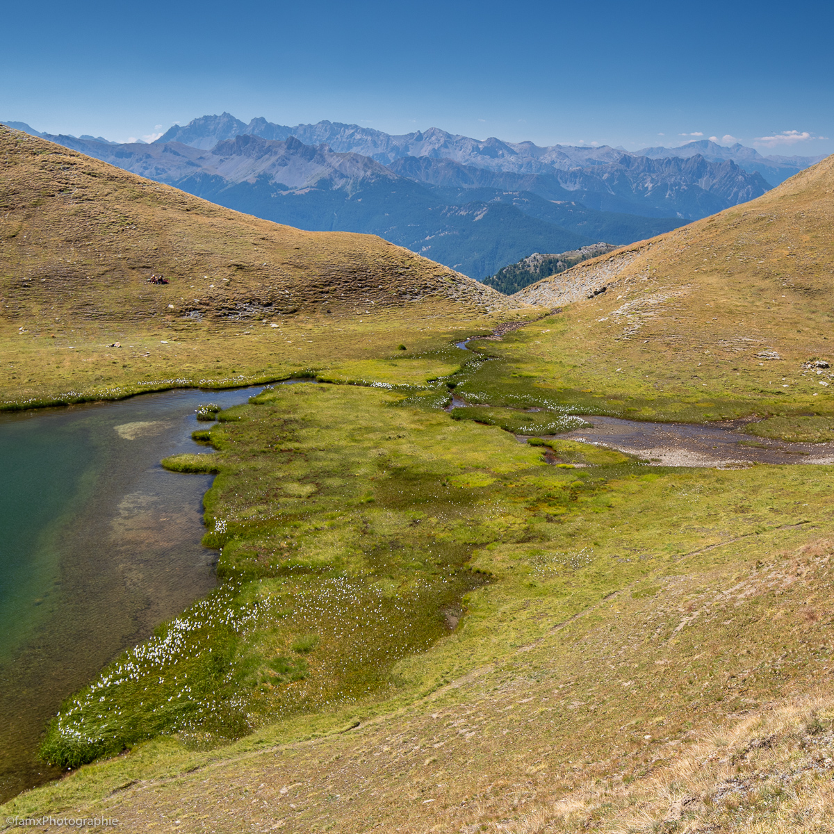Eaux, France, Massif du Queyras (Famx7dII22_2449)