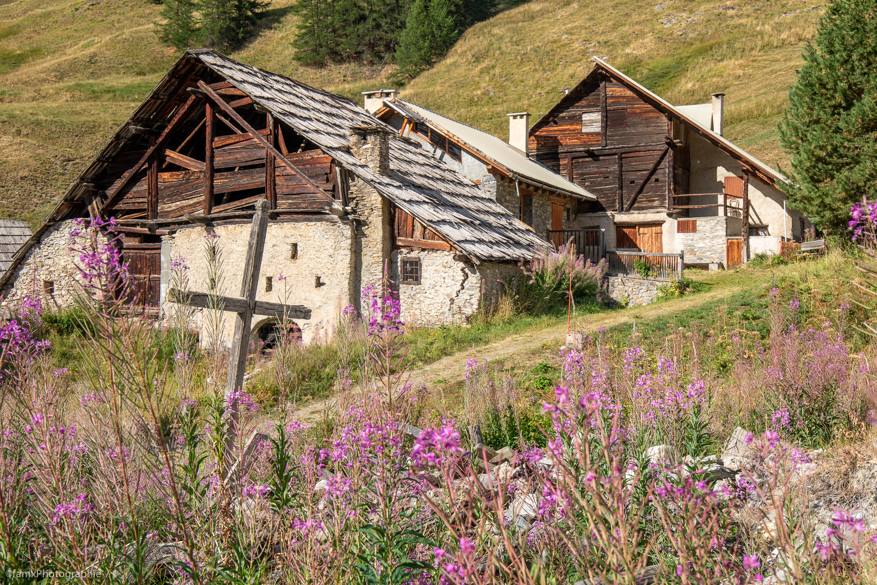 Croix, France, Massif du Queyras (Famx7dII22_2509)