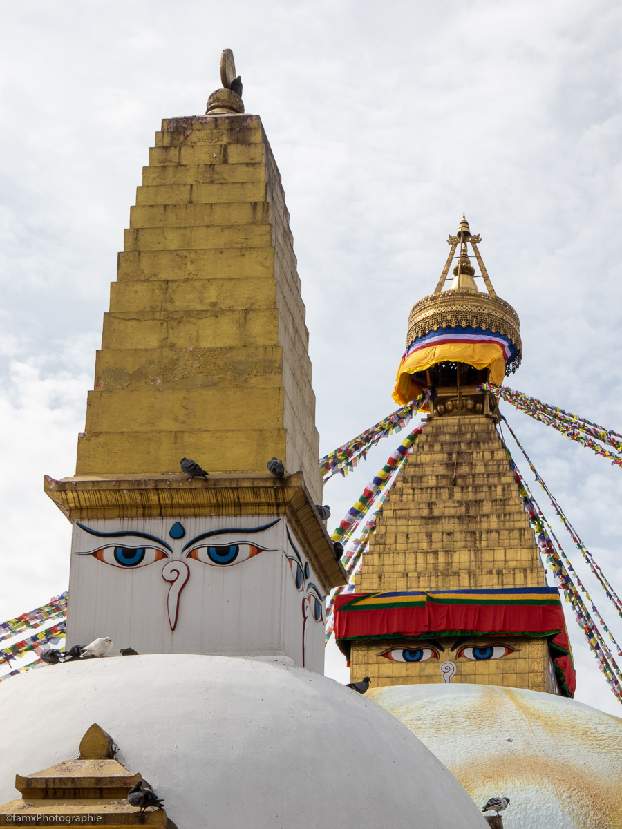 Katmandou, Népal, Stupa de Bodnath (Famx7dII22_2956)