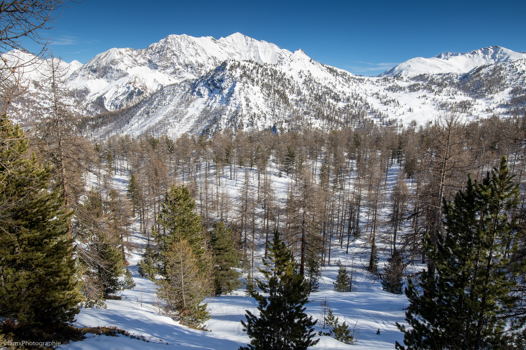 France, Massif du Queyras (Famx7dII23_5025)