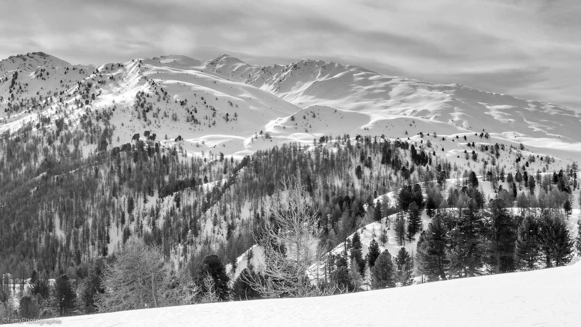 France, Massif du Queyras, Noir & blanc (Famx7dII23_5050)