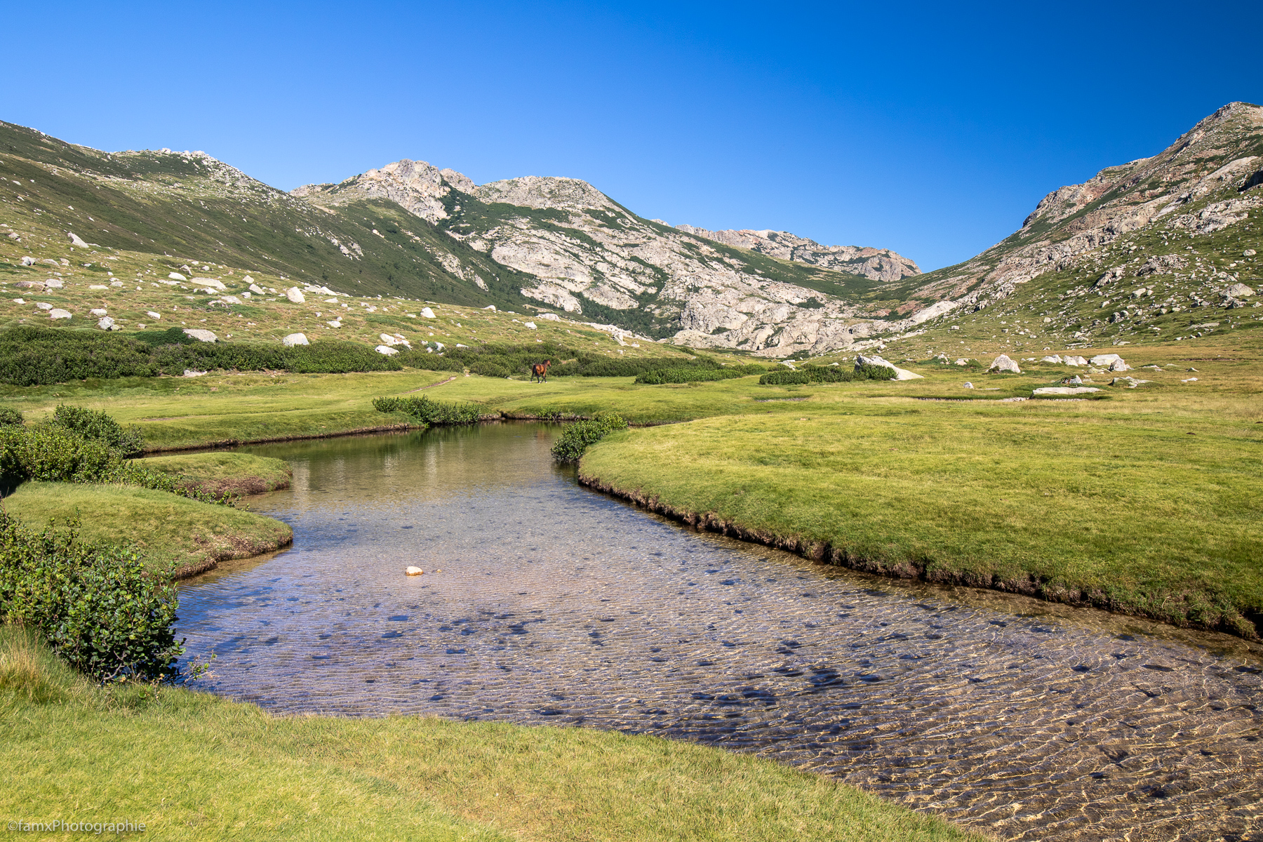 Corse, Eaux, France (Famx7dII23_7578)