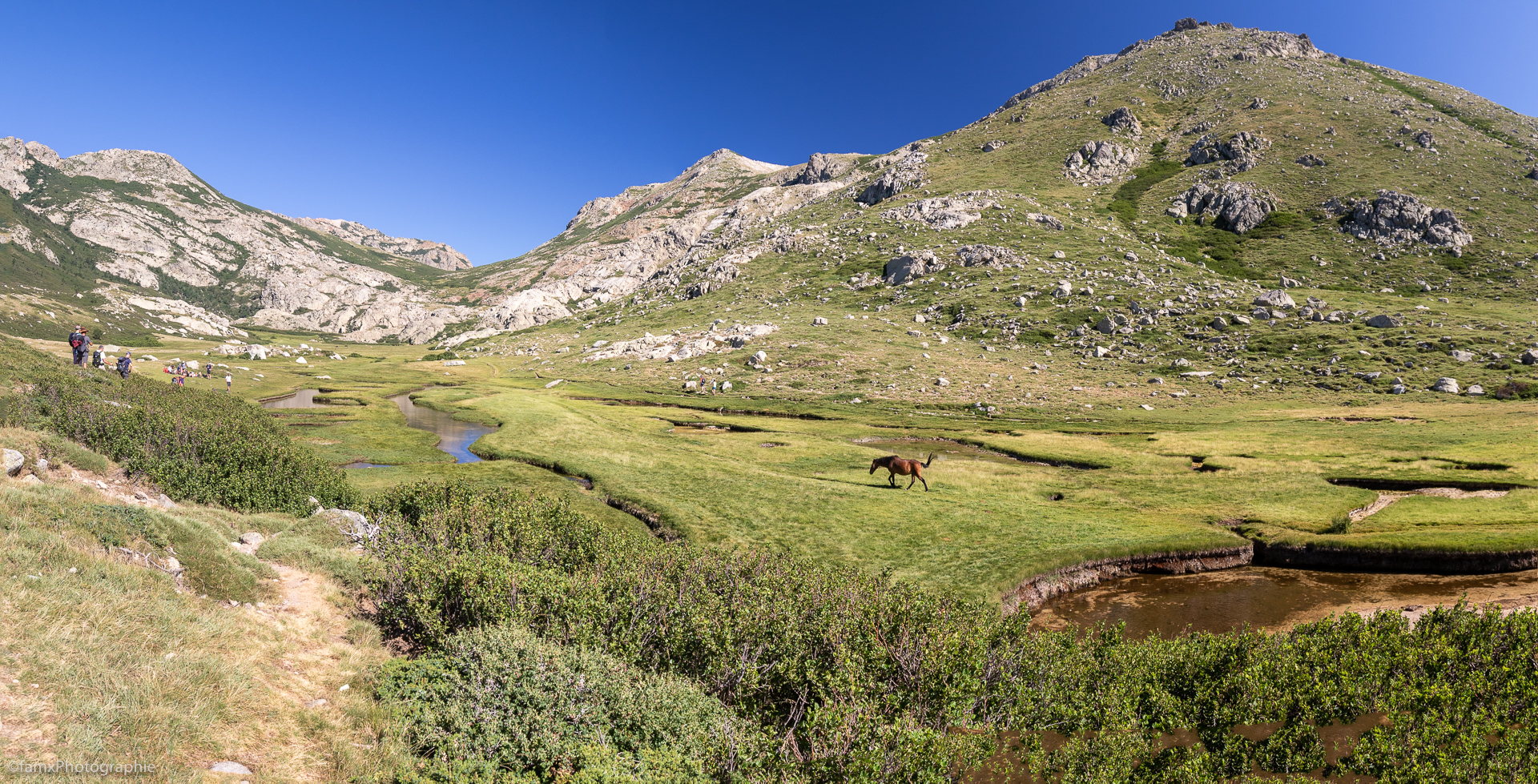 Corse, Eaux, France (Famx7dII23_7581-2)