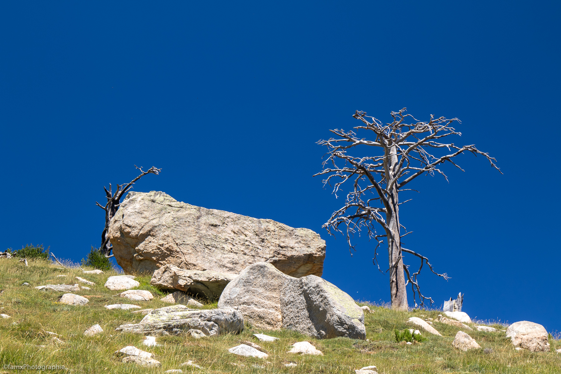 Corse, France (Famx7dII23_7644)