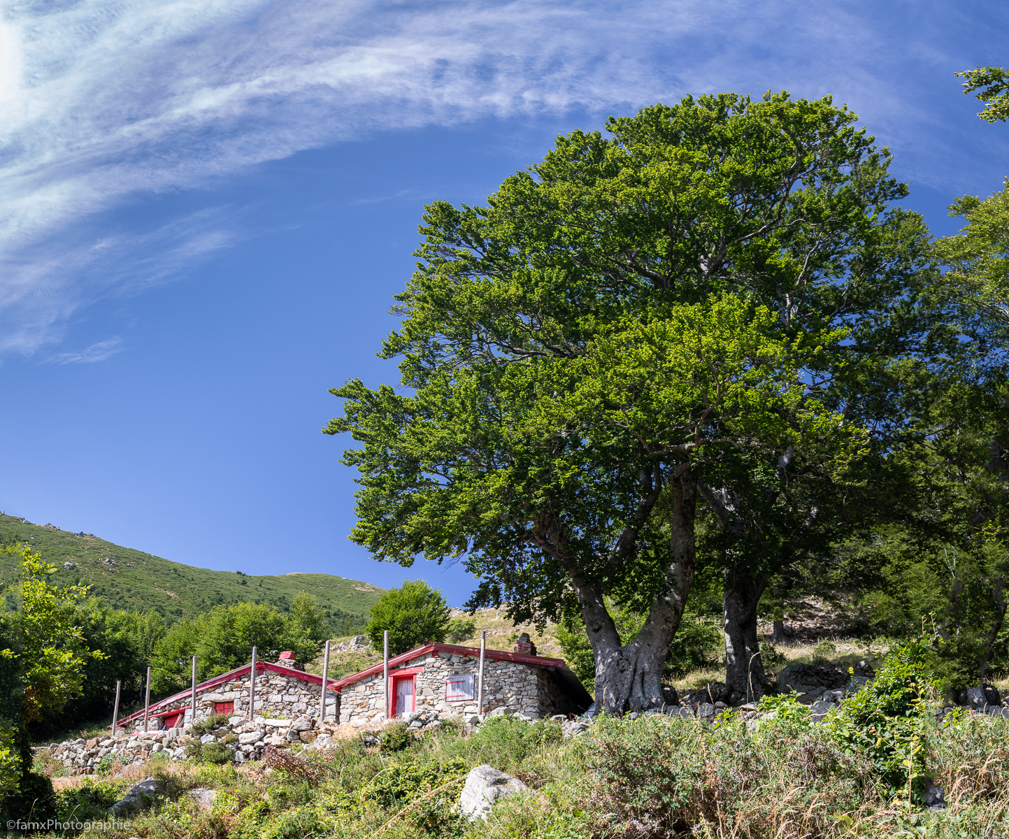 Corse, France (Famx7dII23_7667-8)