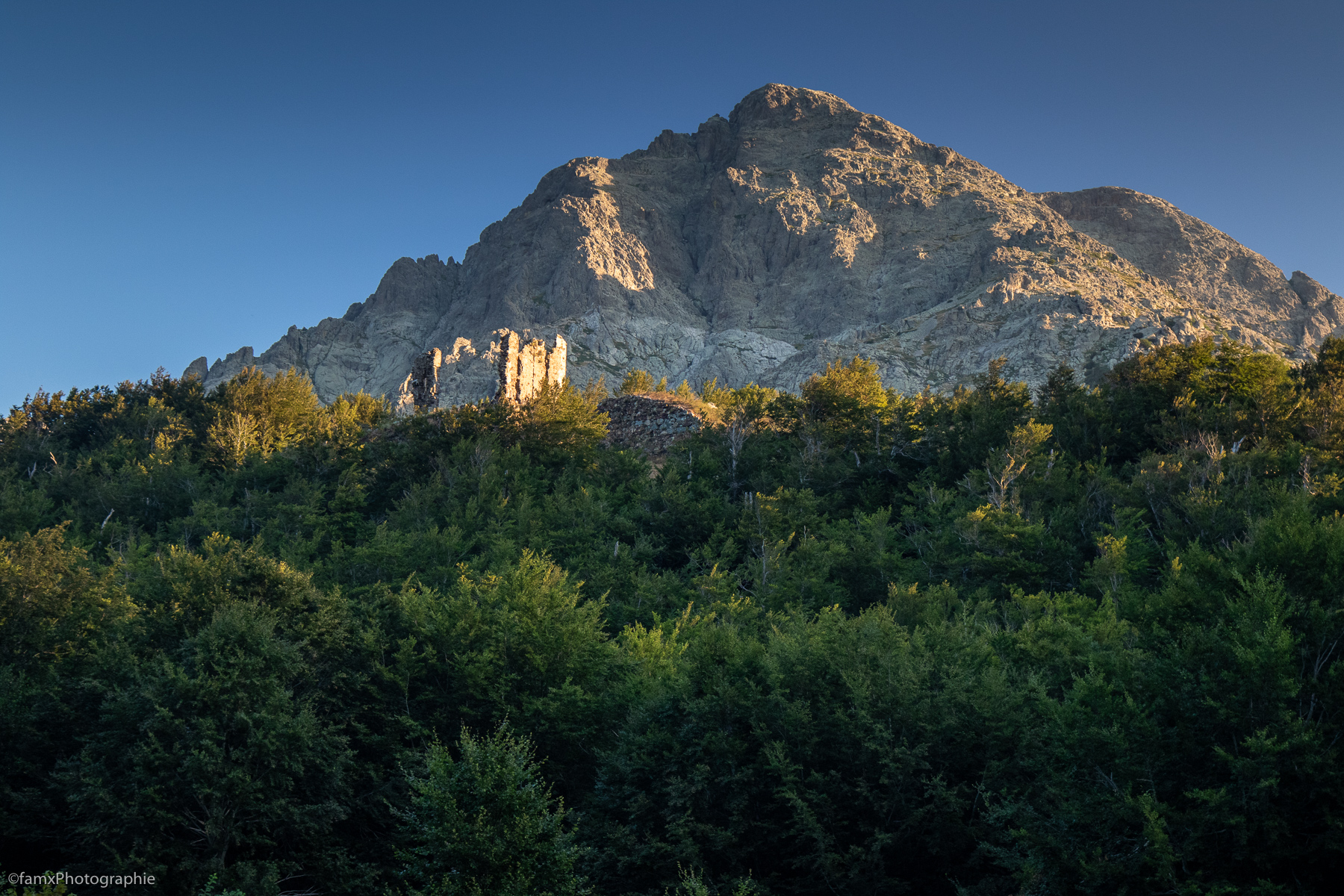 Corse, France, Ruine (Famx7dII23_7679)