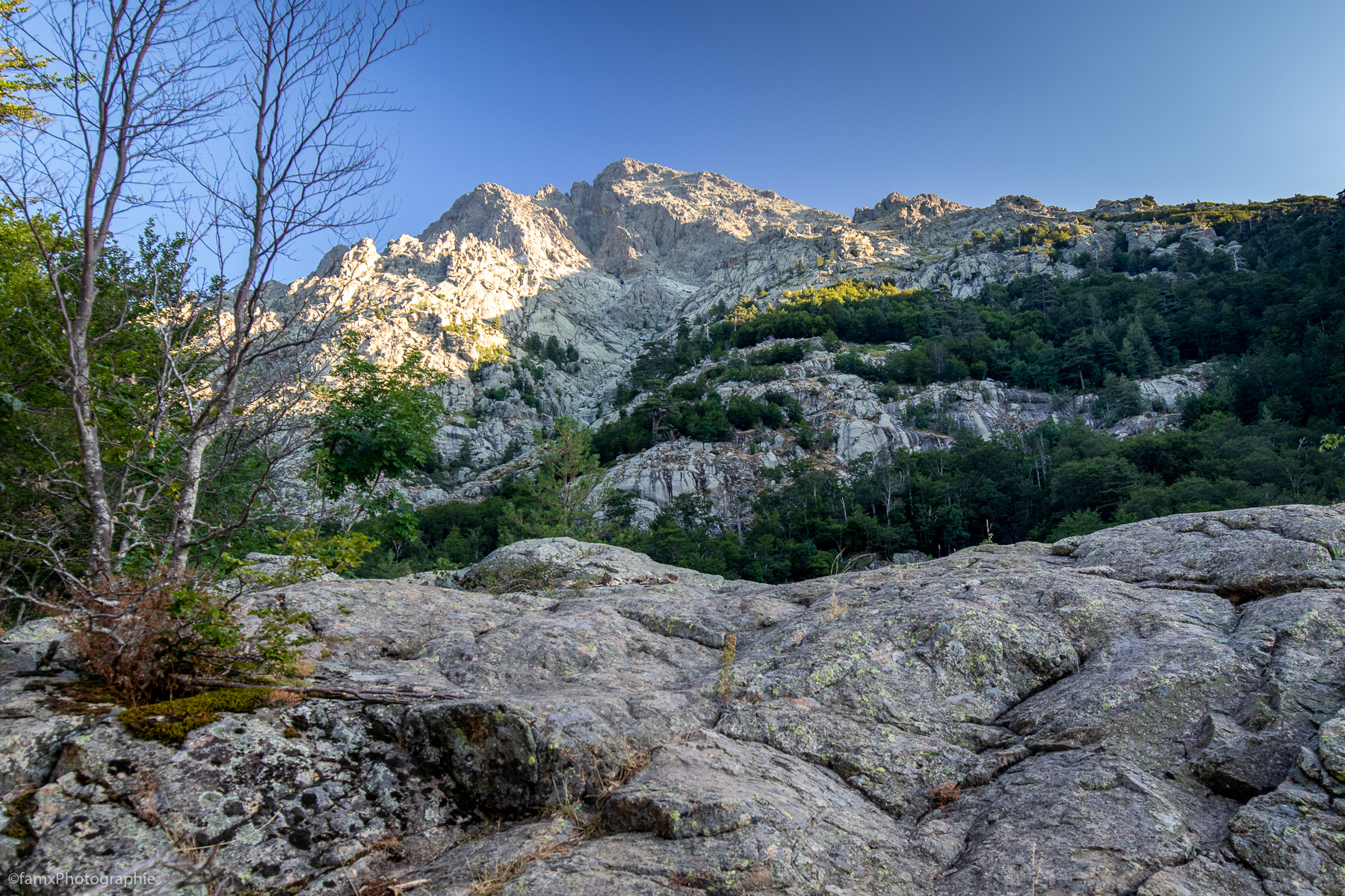Corse, France (Famx7dII23_7683)