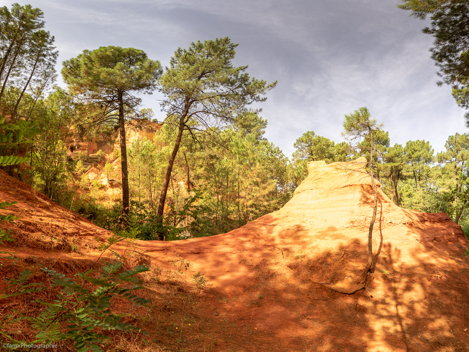 France, Lubéron (Famx7dII23_8423-8)