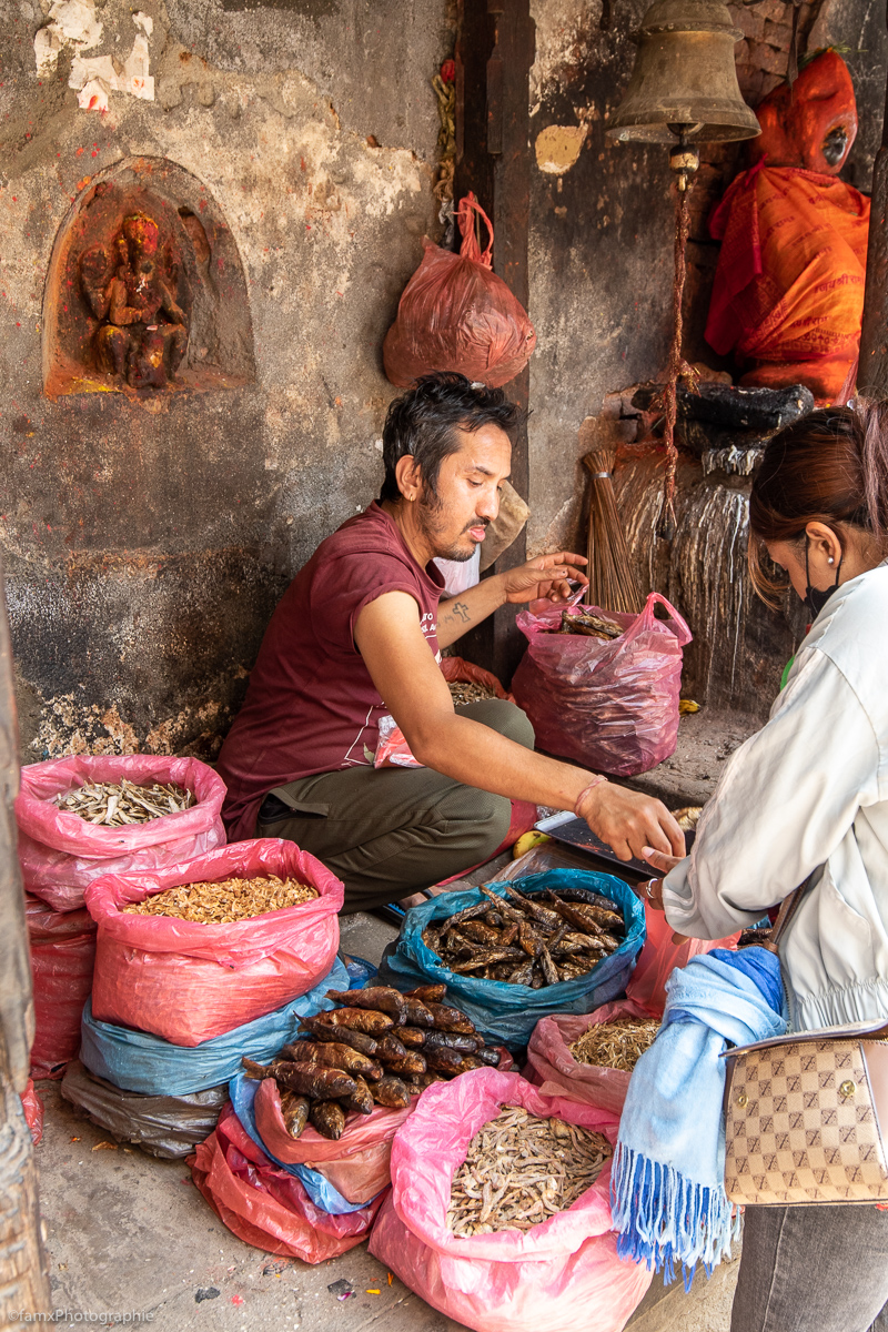 Katmandou, Marché, Népal (Famx7dII23_8551)