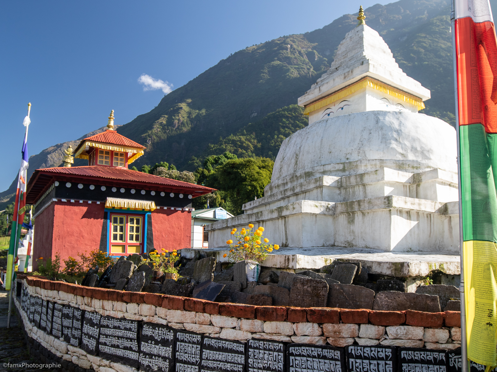 Népal, Stupa (Famx7dII23_8720)