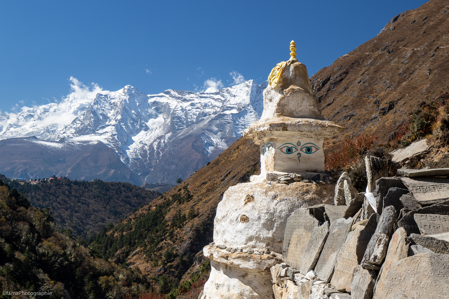 Népal, Stupa (Famx7dII23_9651)