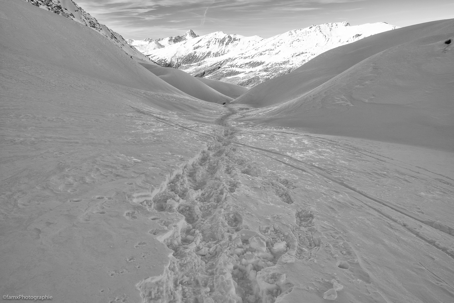 France, Massif du Queyras (Famx7DdII24_0476-SEP2)