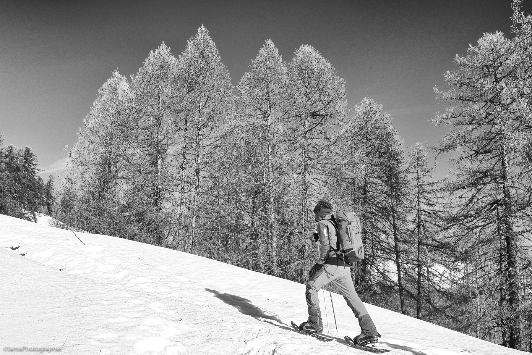 France, Massif du Queyras (Famx7DdII24_0480-SEP2)
