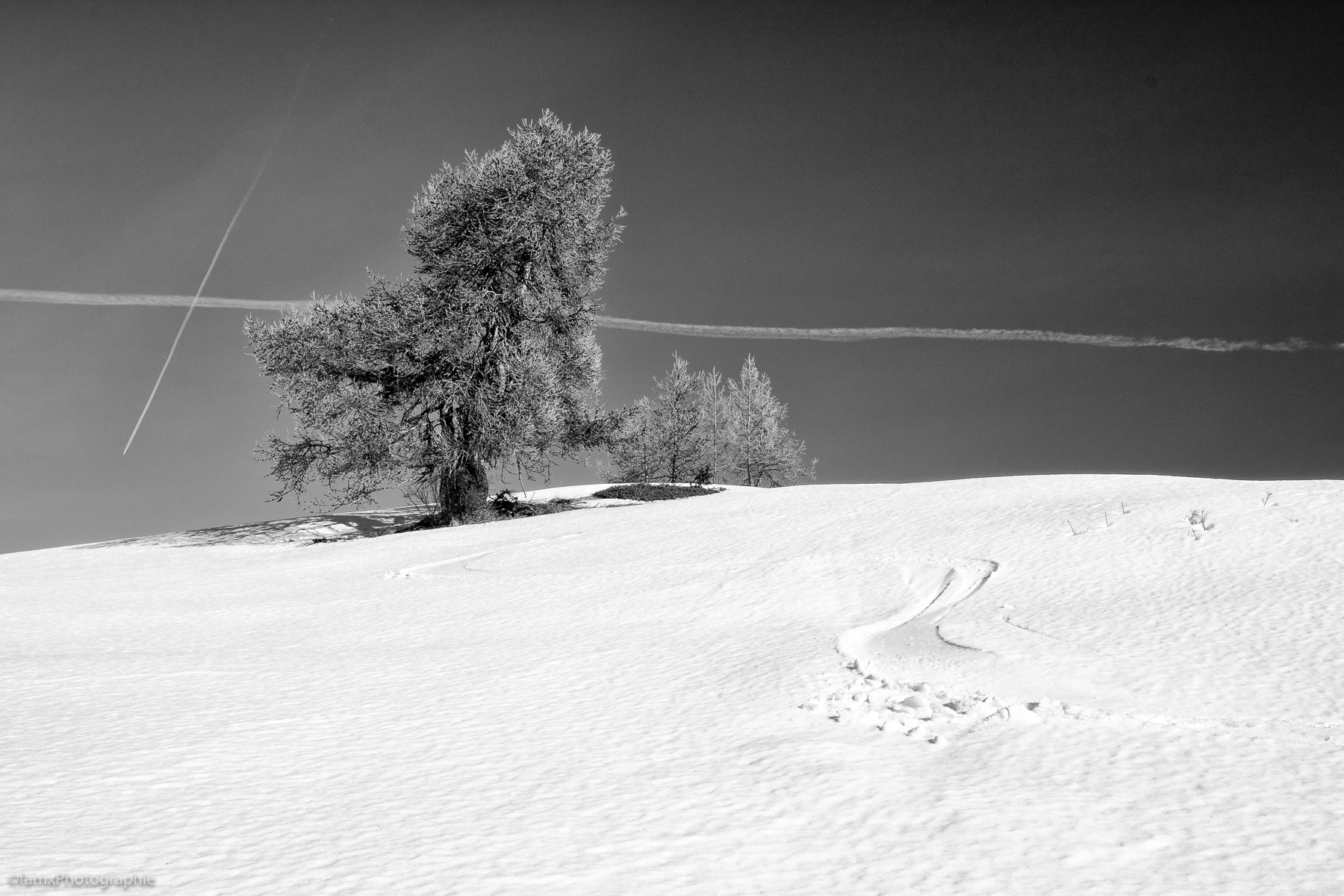 France, Massif du Queyras (Famx7DdII24_0506-SEP2)