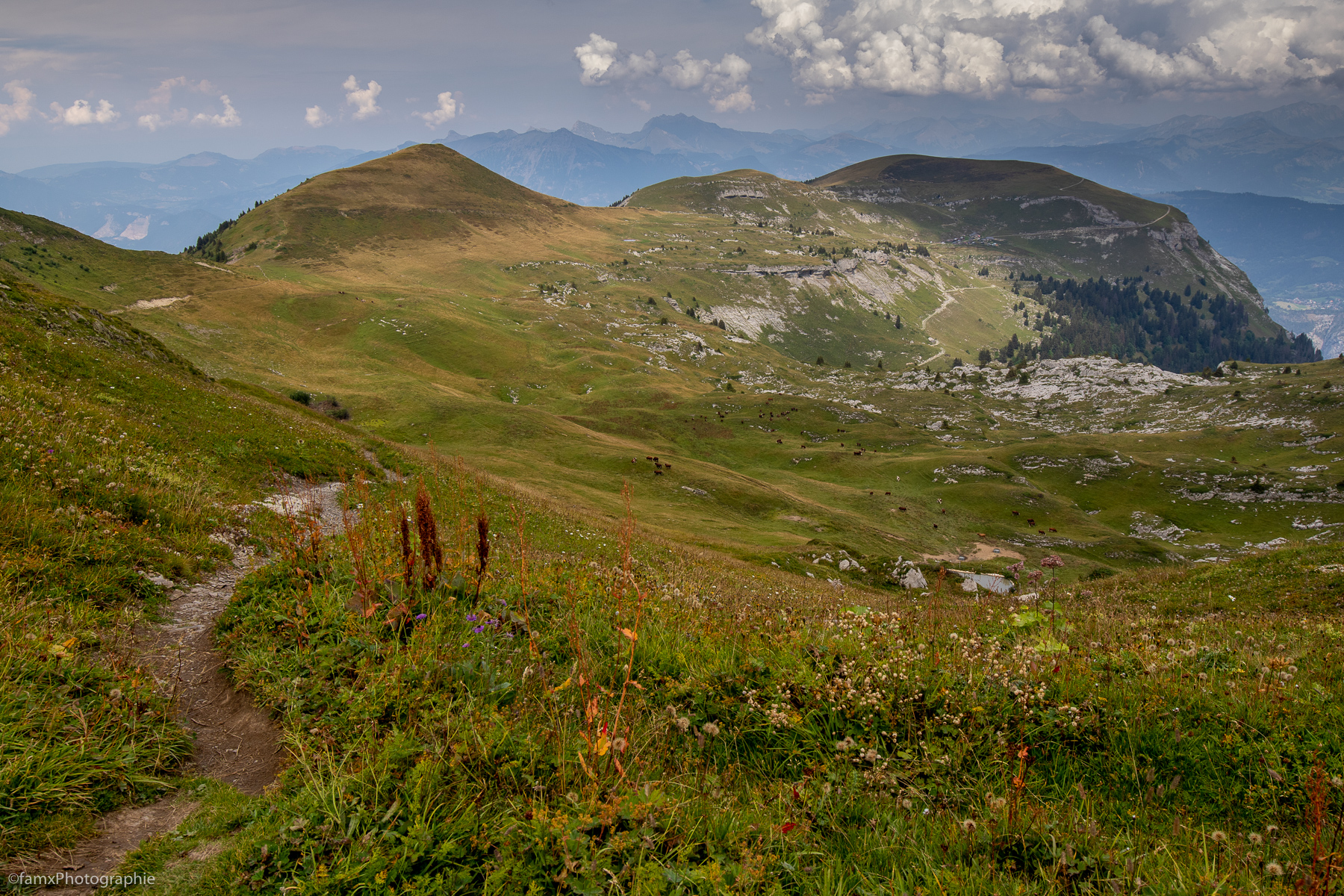 France, Massif des Aravis (Famx7DdII24_3856)