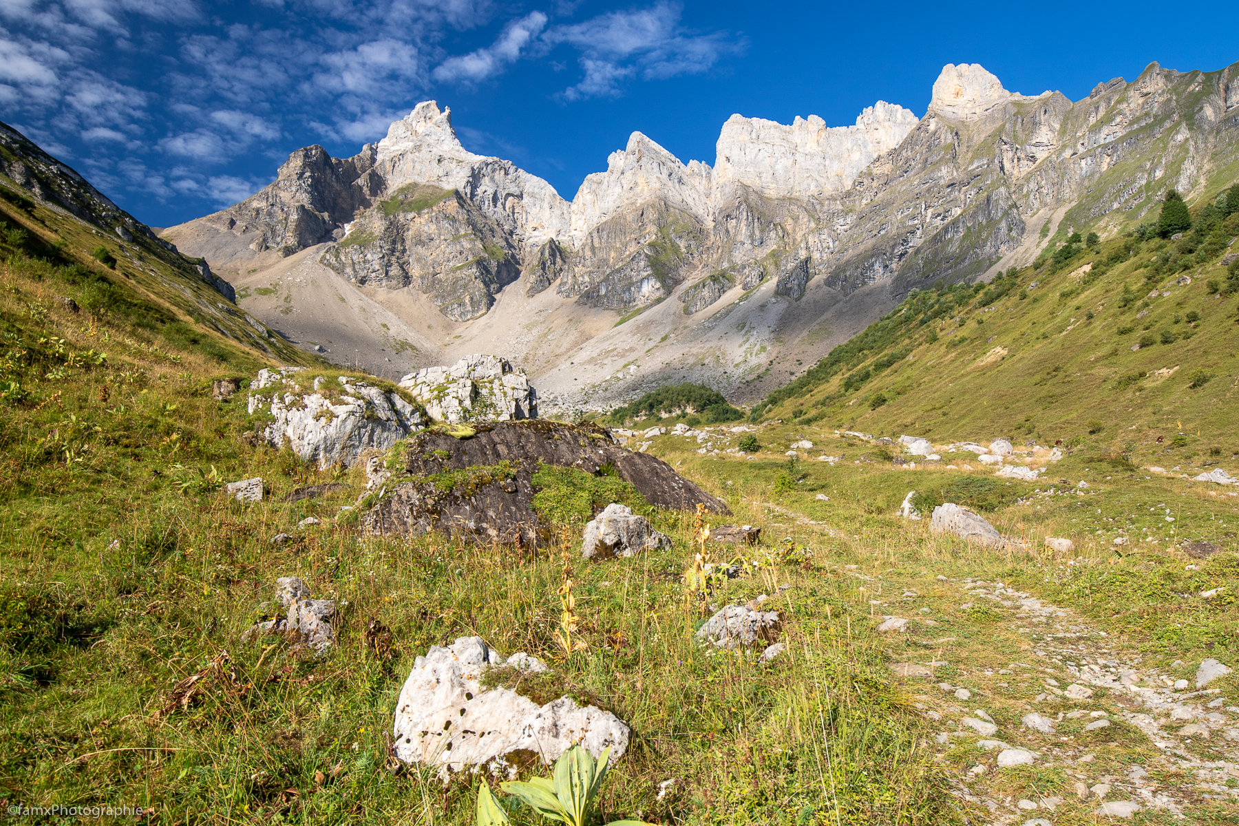 France, Massif des Aravis (Famx7DdII24_3896)