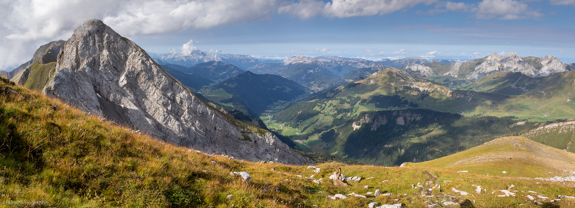 France, Massif des Aravis (Famx7DdII24_4115-7)