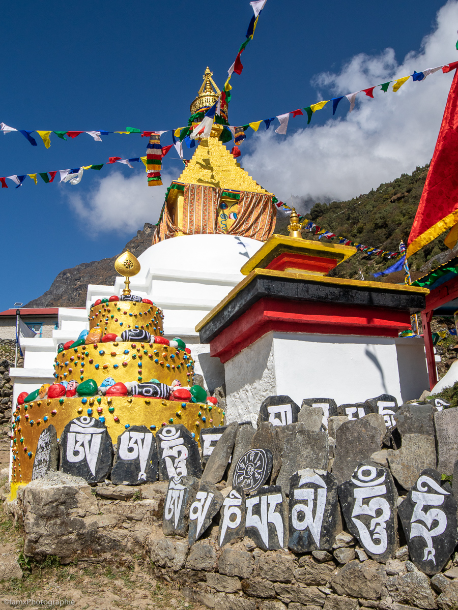 Népal, Stupa (Famx7DdII24_4739)