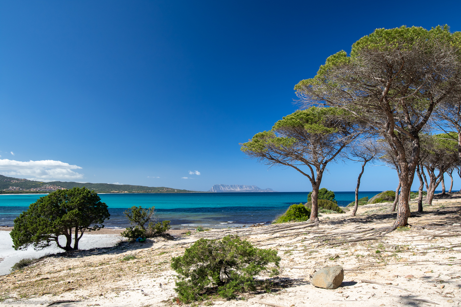 Italie, Sardaigne (Famx7DdII25_7120)