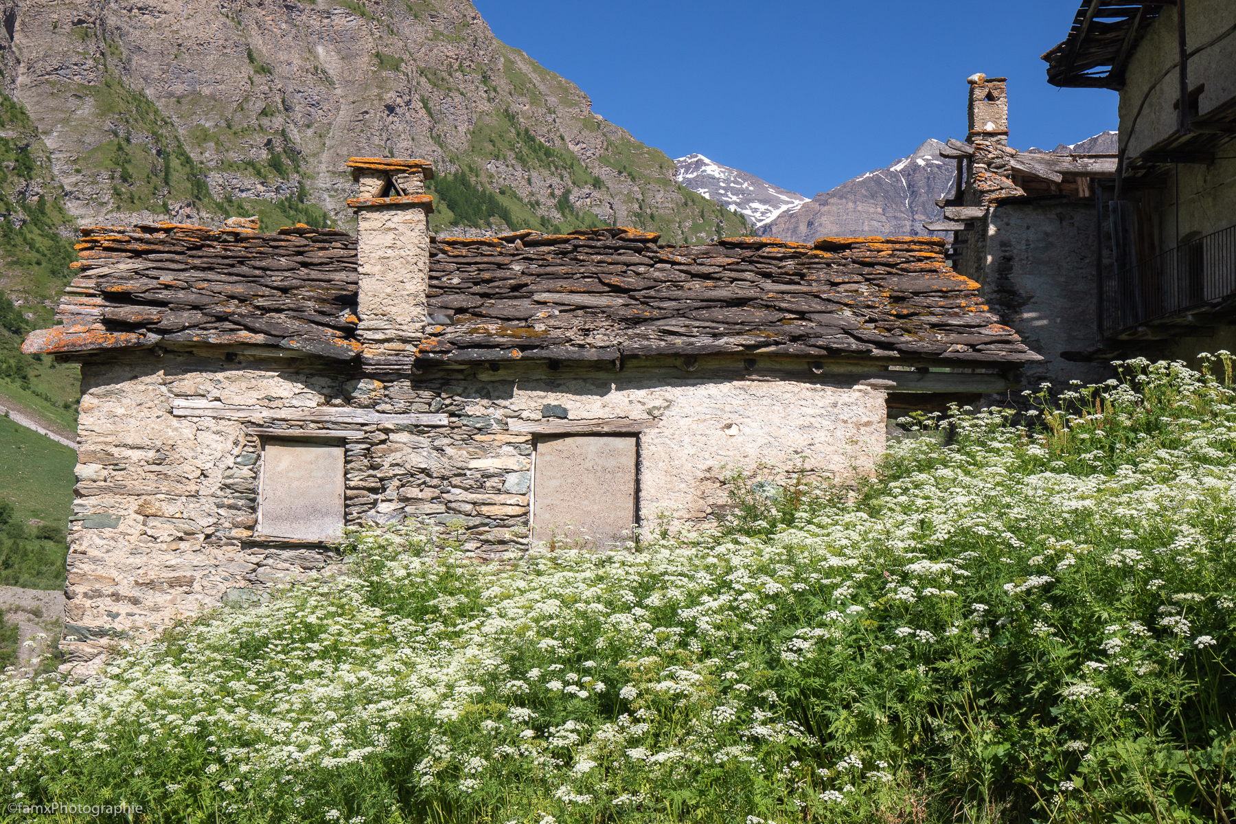 France, Maisonn, Massif de la Haute Maurienne (Famx7DdII25_7683)